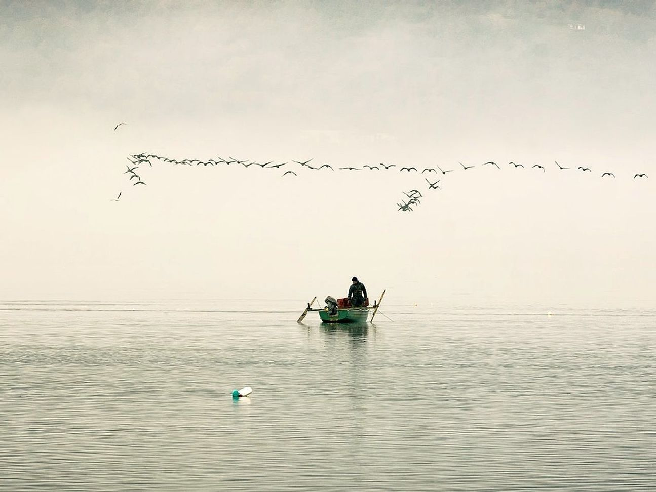 Boat tour launching into calm water with forest backdrop